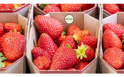 Il “bollino” che salva frutta e verdura dalla muffa ed evita lo spreco alimentare