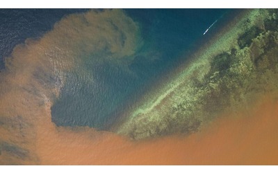 Il lato oscuro della transizione elettrica metalli pesanti intorno alle miniere indonesiane