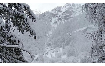 In Europa ci stiamo adattando più velocemente al freddo estremo che al caldo