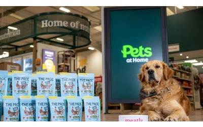 In Gran Bretagna arriva la carne “coltivata” per i cani