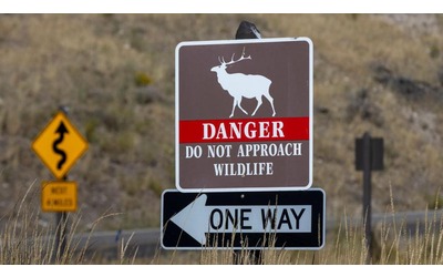 La crisi climatica sta velocizzando il turnover delle specie
