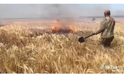 La Fao avvisa l’Onu: i conflitti stanno mettendo a rischio l’agricoltura globale