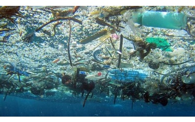 La plastica che scompare la nuova frontiera dei materiali biodegradabili