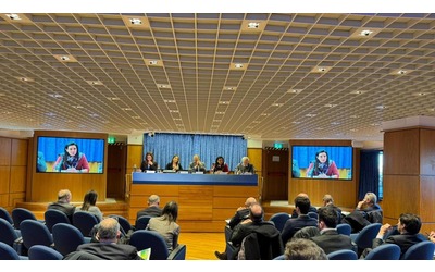 La transizione energetica e le nuove professioni: l’energy manager