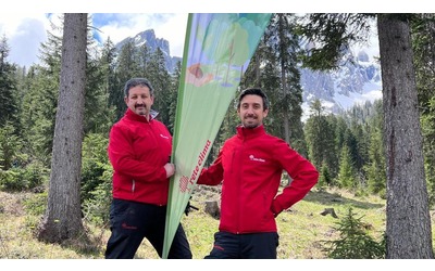 Lavori green, il carbon manager: quando business e ambiente si incontrano