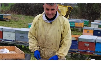 Lavori green, l’apicoltore: “Nelle arnie il segreto del cibo sano”