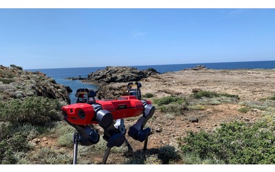 Lavori green, l’ingegnere meccanico: “Sui monti e in laguna ci mando il robot”