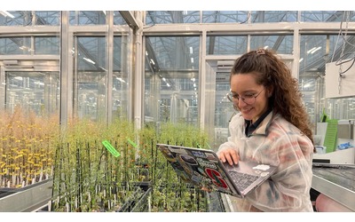 Lavori green, la bioinformatica: “Al computer e in laboratorio per innovare l’agricoltura”