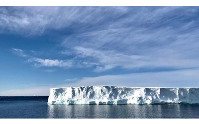 Microplastiche in Antartide contaminato anche l unico insetto autoctono