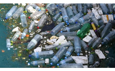 Microplastiche nel corpo umano, i ricercatori frenano