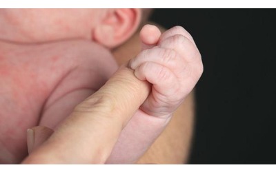 Microplastiche nella placenta, livelli più alti nei bimbi nati prematuri
