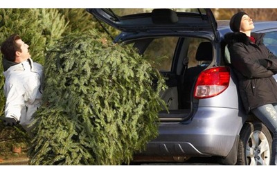 Natale 2025 come rendere le feste pi sostenibili la scelta dell albero e decorazioni