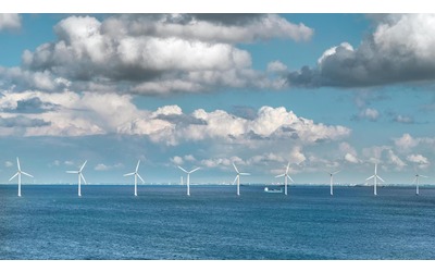 Nel Mare del Nord le alghe coltivate tra le turbine eoliche