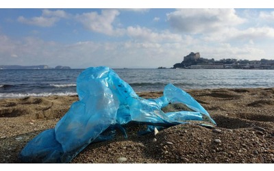 Plastica, mozziconi e cotton fioc: sulle spiagge 892 rifiuti ogni 100 metri
