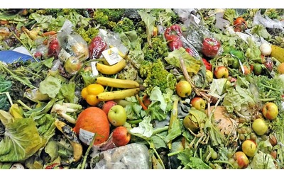 Spreco alimentare ogni settimana gettiamo mezzo chilo di cibo a testa