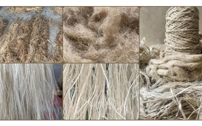 “Un bioreattore per trasformare lino e canapa in fibra da riusare al posto della plastica”