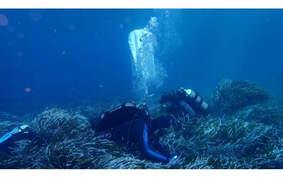 Un oasi climatica nel Mediterraneo orientale qui la biodiversit resiste alla crisi climatica