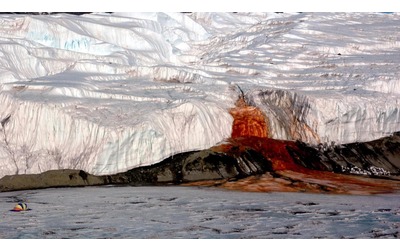 Una salamoia di milioni di anni fa all origine del fenomeno delle cascate di sangue