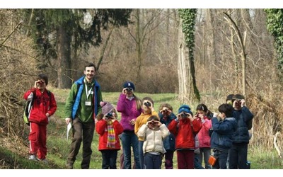 WWF Italia compie 60 anni la prima iniziativa per la scuola