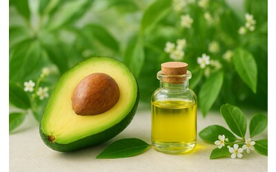 Olio di Avocado: Il Segreto Naturale per Trasformare Pelle e Capelli