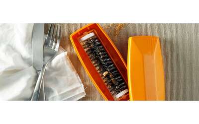 Bastano 2€ per questa GENIALATA e addio briciole: solo su Amazon (-75%)