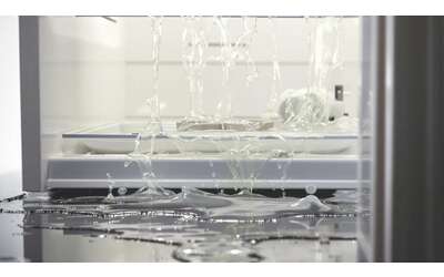 Calamite sul frigorifero il rischio nascosto che pu costare molto caro