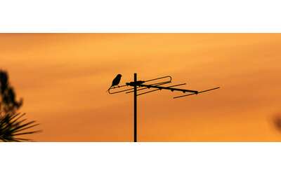 Digitale Terrestre: come assicurarsi di ricevere tutte le frequenze