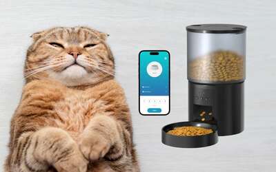Distributore SMART di cibo: utilissimo, il prezzo su Amazon è WOW (36€)
