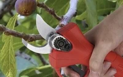 Forbici da potatura da 33,99€ complete di due batterie e custodia: affare WOW