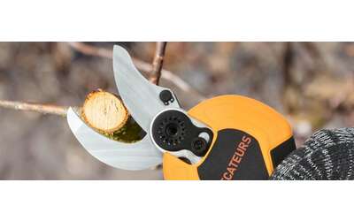 Forbici per potatura elettriche professionali: offerta A TEMPO di Amazon (-15%)