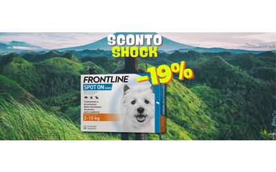 Frontline Spot On in sconto del 19% su Amazon: prezzo SHOCK