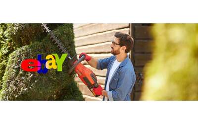 Giardinaggio fai da te Con queste offerte eBay risparmi i costi del giardiniere