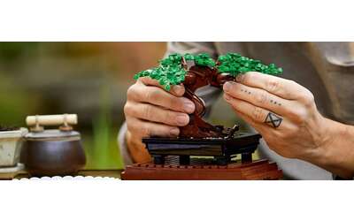 Grande ritorno su Amazon: il Bonsai LEGO è in DOPPIO SCONTO