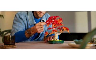 Il nuovo set LEGO Bonsai Acero Rosso Giapponese è disponibile per la prenotazione