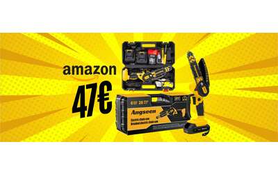 Mini motosega a batteria: taglio legna e potatura super semplice (47€)
