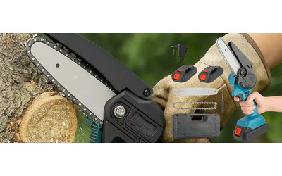Motosega a 24 49 con DOPPIA batteria e custodia affare strepitoso