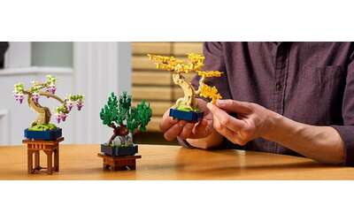 Novità LEGO in uscita: il set Botanicals Mini Bonsai è ora su Amazon