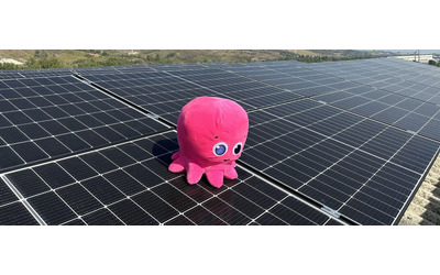 Octopus Energy: ancora per oggi luce e gas bloccati per 12 mesi