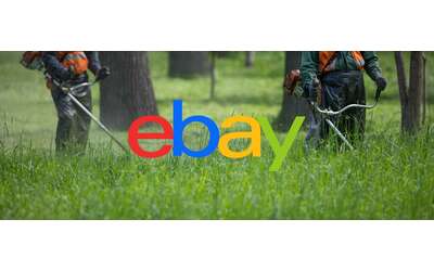 Potente decespugliatore a scoppio sotto i 99€ su eBay