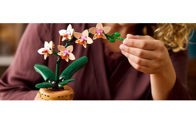 Regalo low cost? La Mini-Orchidea LEGO è tua a 21,88€: stile MINIMAL e zero manutenzione