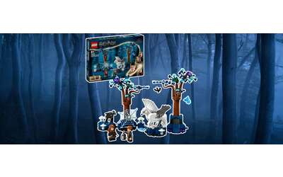 Set LEGO Harry Potter La Foresta Proibita: offerta Amazon da non perdere (-20%)