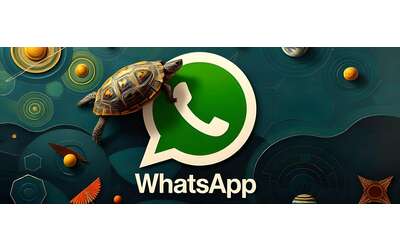WhatsApp: cos’è la modalità tartaruga? Semplice: l’ennesima presa in giro