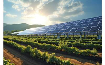 Agrivoltaico una tessera importante per il mosaico della transizione energetica