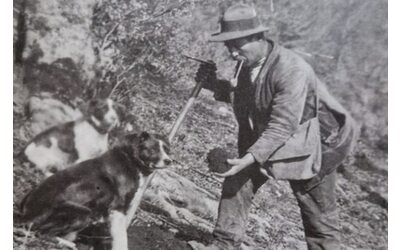 Alberi micorrizati e tartufi uno spunto dalla Croazia