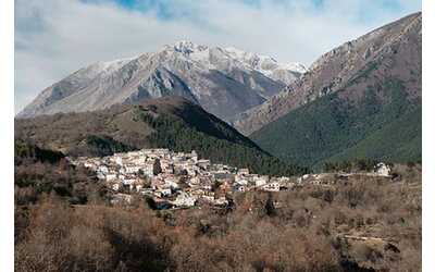 Ape trent anni di biodiversit