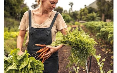 Apparecchiamo il futuro scegliendo cibo sostenibile