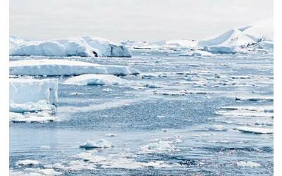 Artico, individuate tracce di cosmetici e farmaci nelle acque delle Svalbard