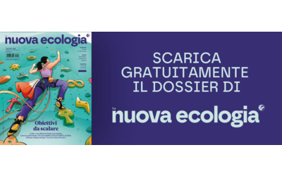 Cinque anni per risalire