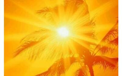 Clima, il 2024 sarà il primo anno sopra 1,5° C. In crescita le malattie infettive