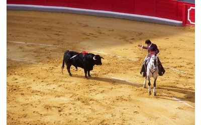 Colombia, dal 2027 niente più Corrida né manifestazioni con animali